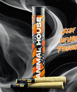 2 PACK INFUSED PRE-ROLLS - CANNALOUPE CRUSH