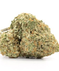Afghan Hammer Strain