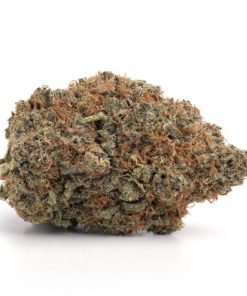 Black Widow Strain