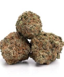 Alternative view of Black Widow Strain