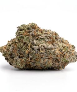 Blue Cheese Strain