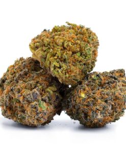 Alternative view of Blue Hawaiian Strain