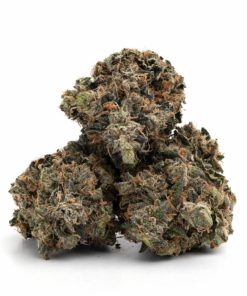 Alternative view of Bubba Kush Strain