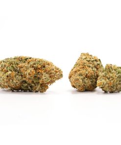 Alternative view of Cherry Pie Strain