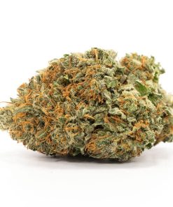 Comatose Strain