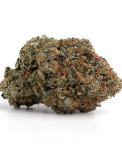Forbidden Fruit