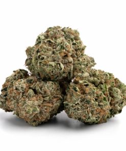 Alternative view of Gas Face Strain