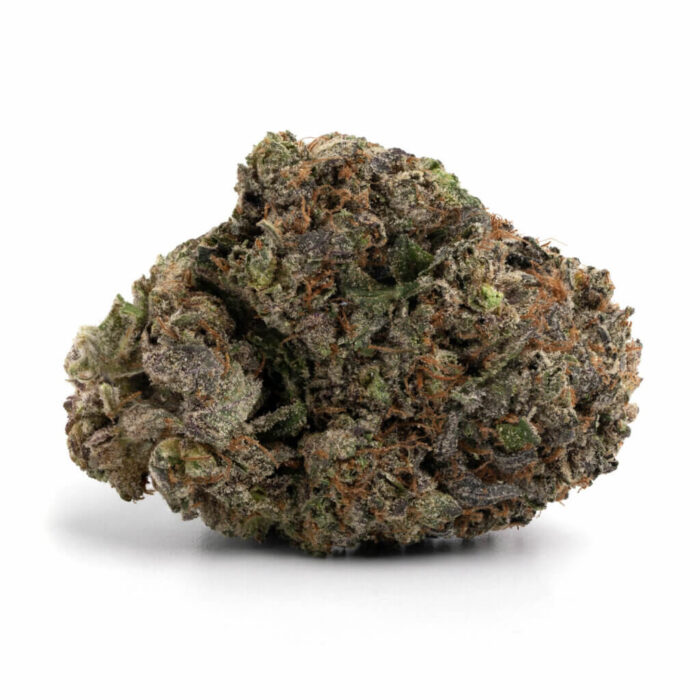 Greasy Pink Strain