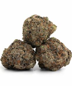 Alternative view of Greasy Pink Strain