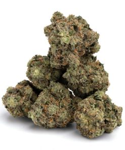 Jack Herer Strain - Image 3