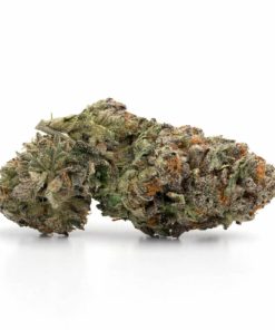 Master Kush