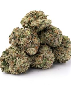 Alternative view of Gas OG Strain